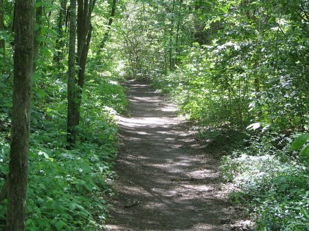 Trail de la Cimentière