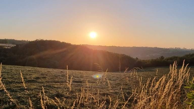 Trail des Prés Verts