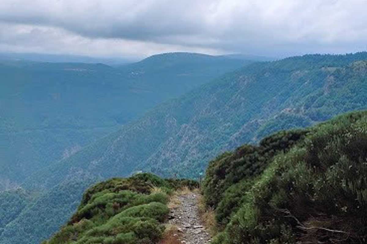 Trail du Mont-Aigoual Logo