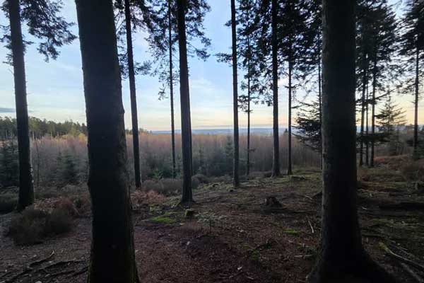 Trail du Verdier Logo