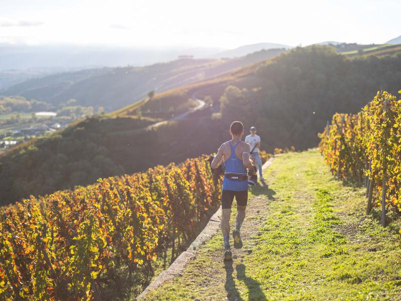 Trail en Côte-Rôtie