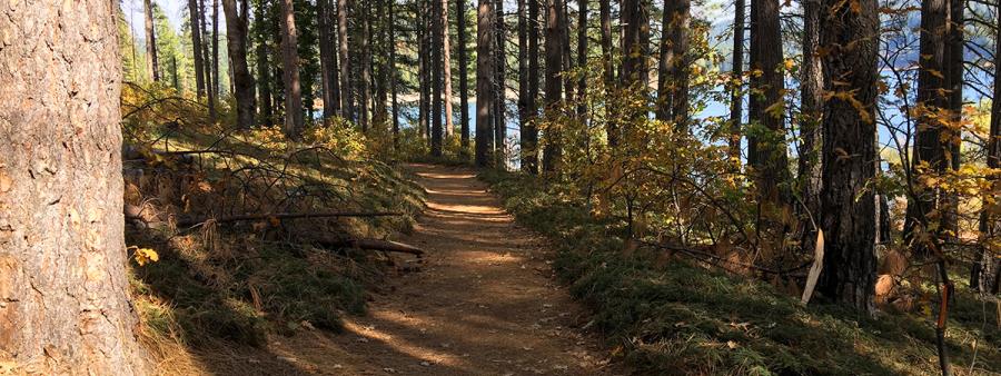 Trail Run at Sly Park - Fall Logo