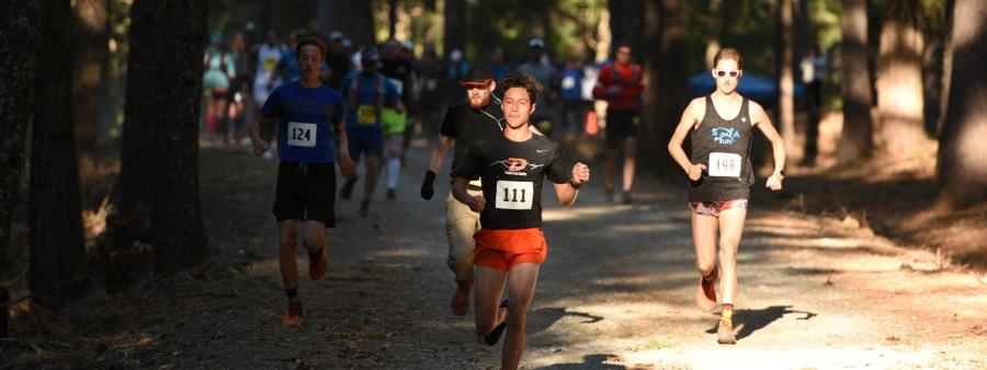 Trail Run at Sly Park - Summer