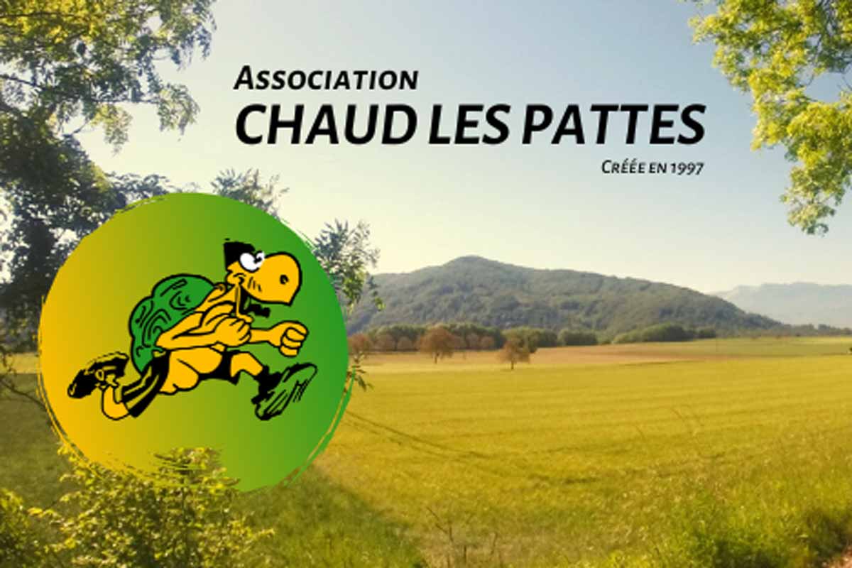 Trail Tortues Joggeuses