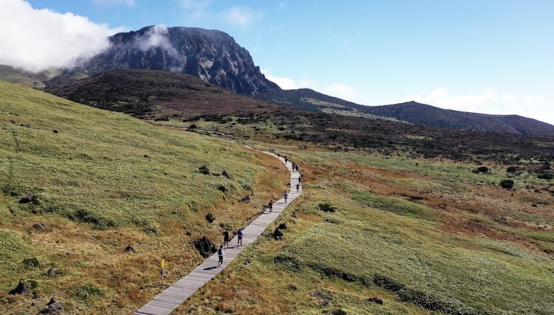 TransJeju by UTMB - Jeju60K