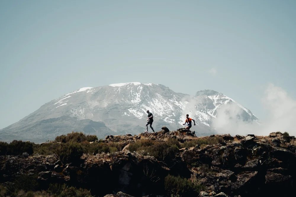 Traverse Tanzania Logo