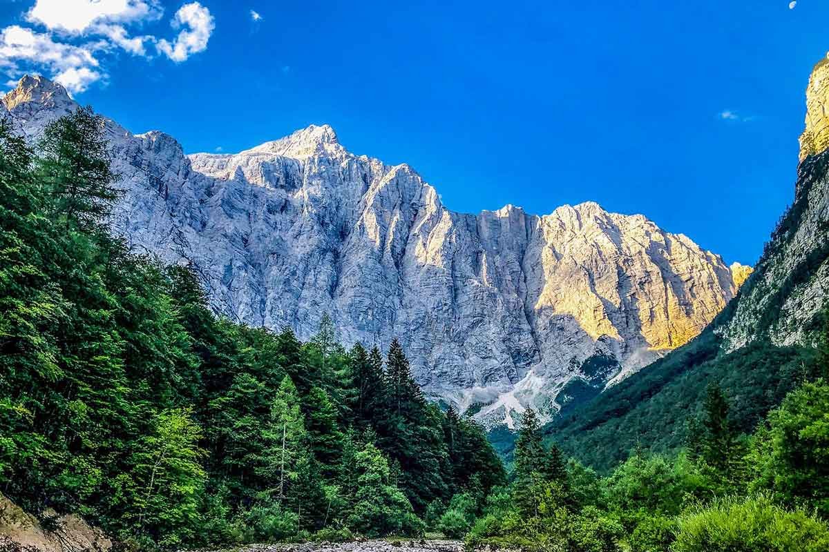 Triglav Trail Race Logo