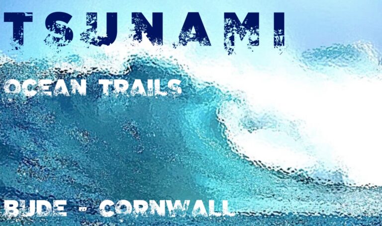 TSUNAMI 24