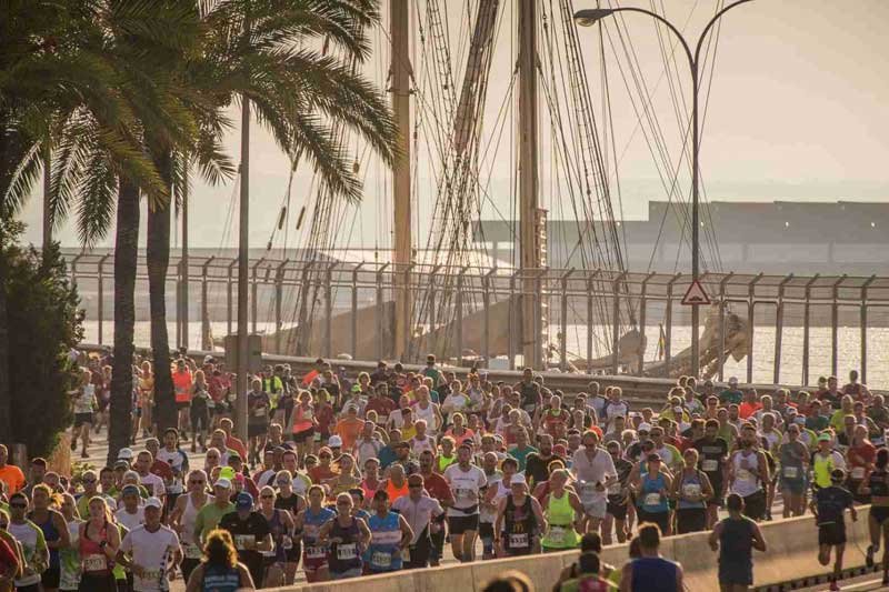 TUI Palma Marathon Logo