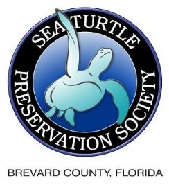 Turtle Krawl 5K