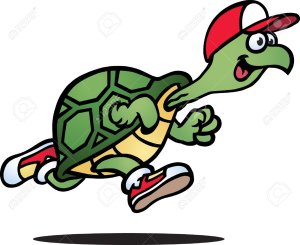 Turtle Trot 10K and 5K Logo