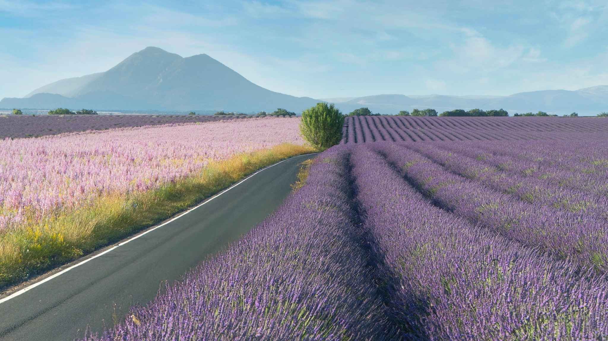 UBF Provence
