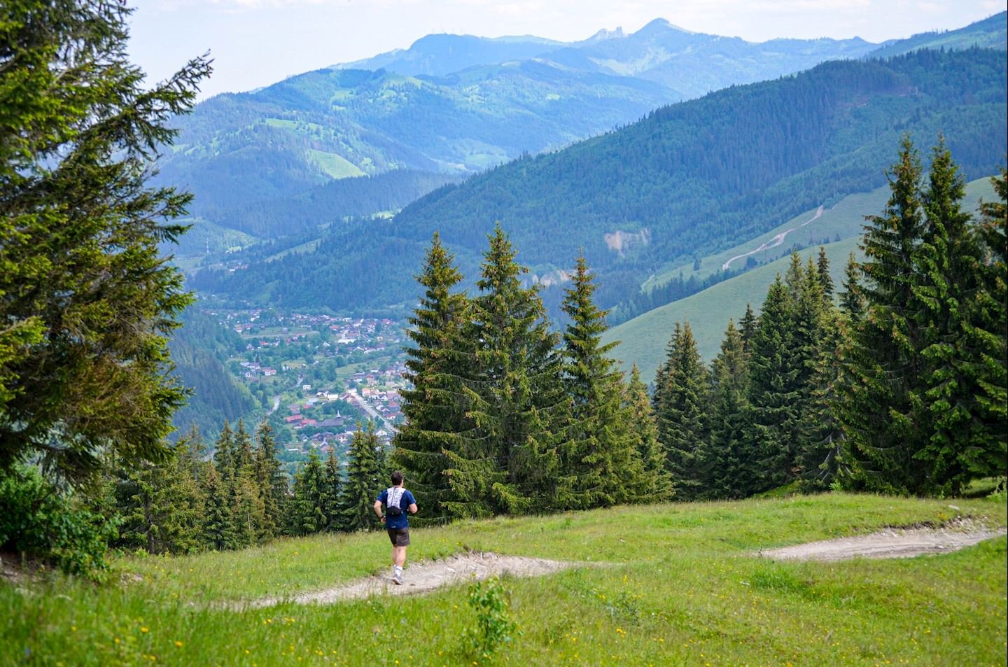 Ultrabug