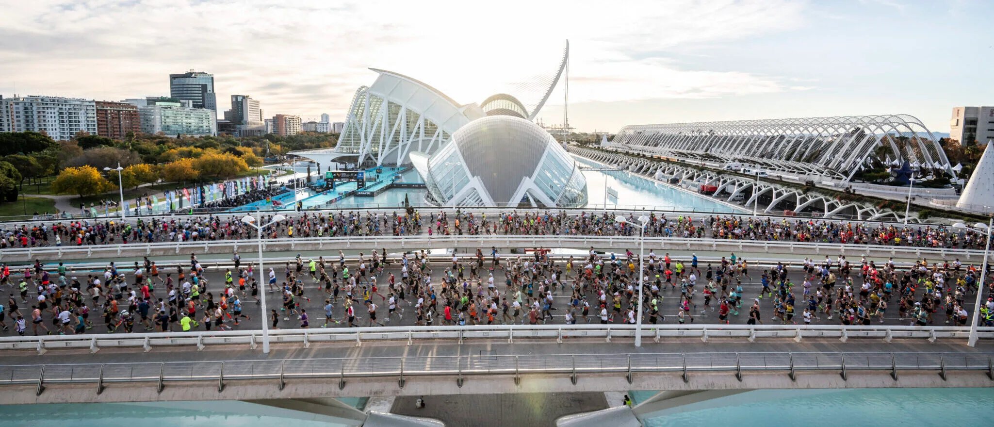 Valencia Marathon Logo