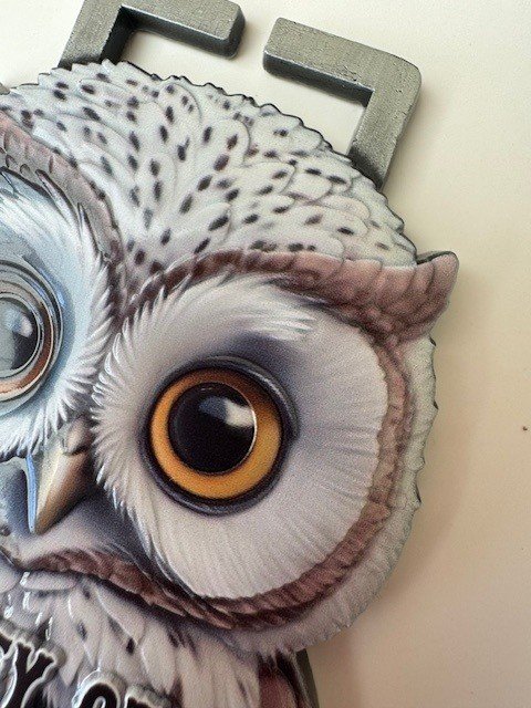 Valley of the Owls Run Logo