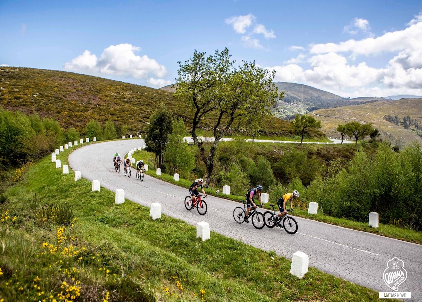 Viana Granfondo by KTM Logo