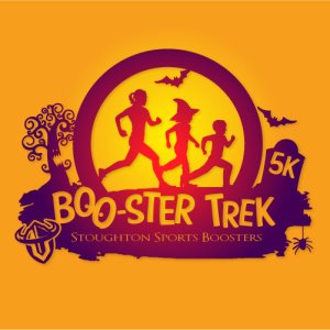 Viking  Booster Trek Logo