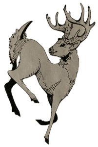 Wahkiakum 4-H Great White Tail Run Logo