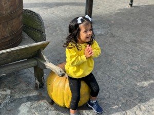 Walk/Run for Aria 5 for 5 Logo