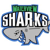 Waterview Charity Event