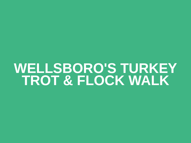 Wellsboro's Turkey Trot & Flock Walk Logo