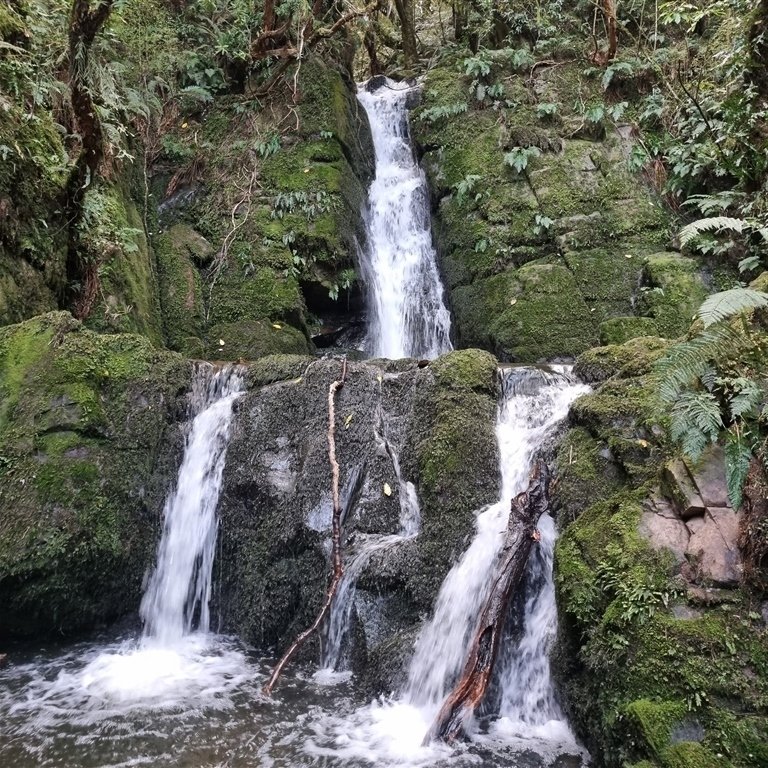 Whiskey Creek Challenge