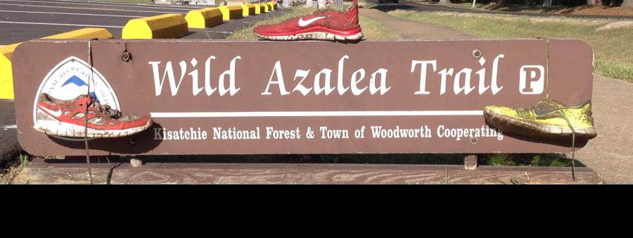 Wild Azalea Trail Challenge Logo