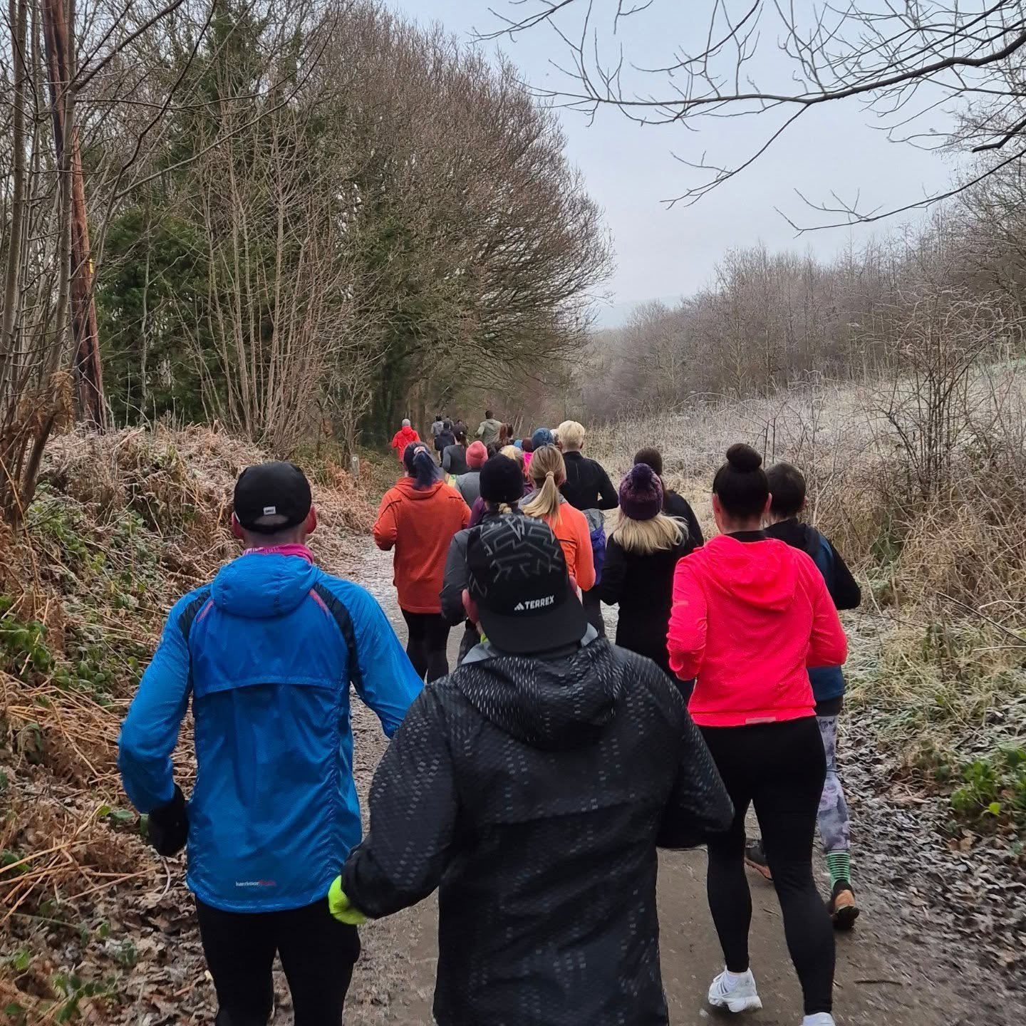 Wild Deer Events x Collective Run Club - Social Trail Run