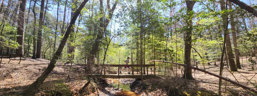 Wild Hope Trail Race