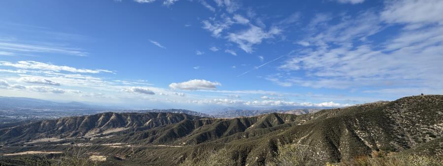 Wildwood Canyon Trail Run Logo