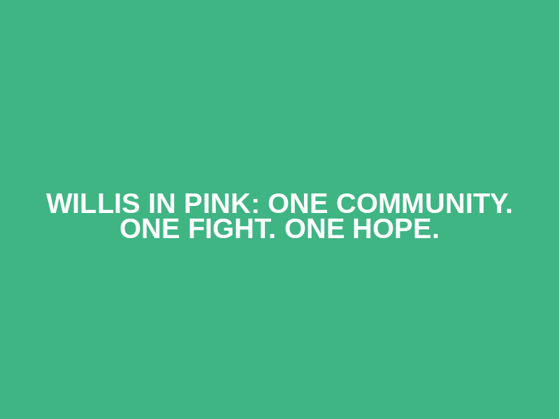 Willis in Pink: One Community. One Fight. One Hope. Logo