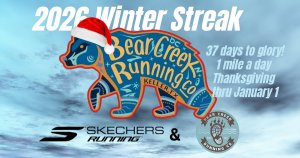 WINTER STREAK Logo