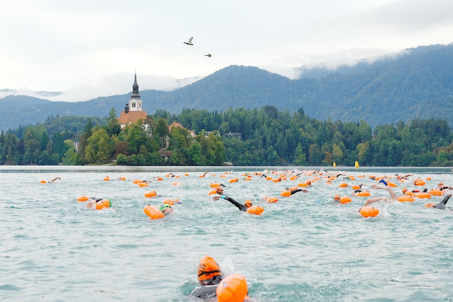 X-WATERS Slovenia