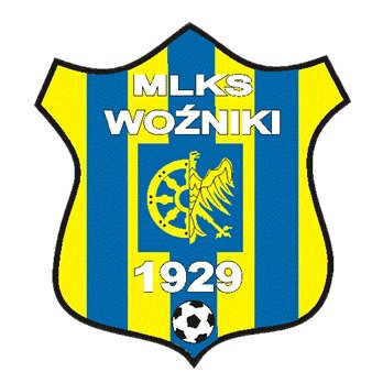 XI Woźnicki Bieg Uliczny