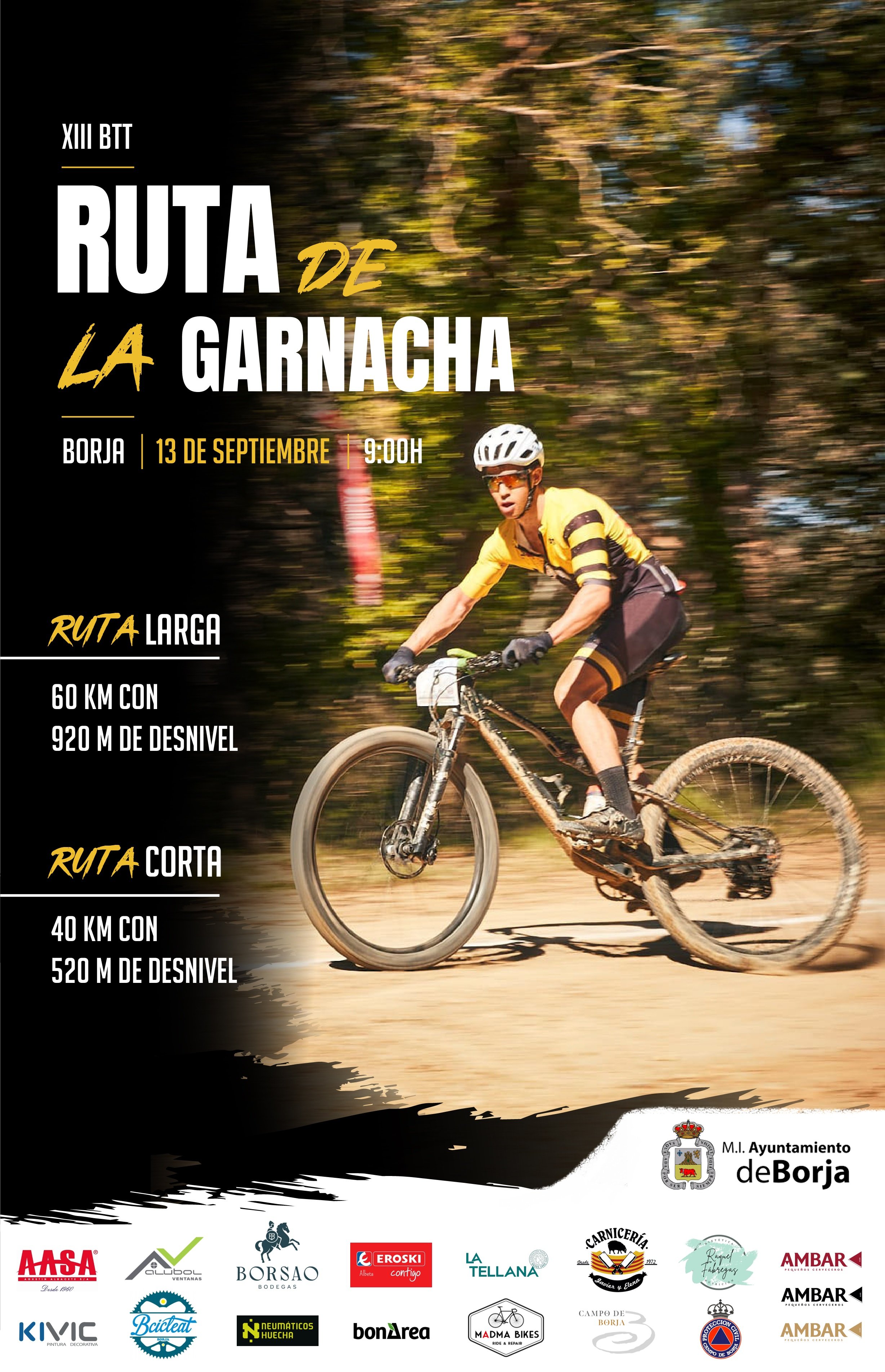 XIII BTT RUTA DE LA GARNACHA - BORJA