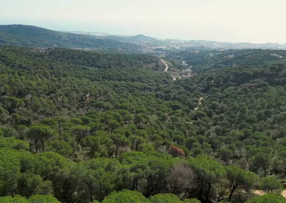 Xtrail Series Run - Mataró Logo