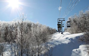 YETI OR NOT Snowshoe Invasion