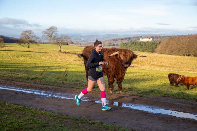Yorkshire Trail Runs Harewood House