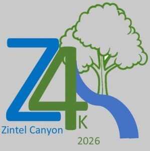 Zintel Canyon 4K